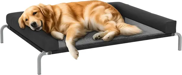 Erhöhtes kühlendes Hundebett