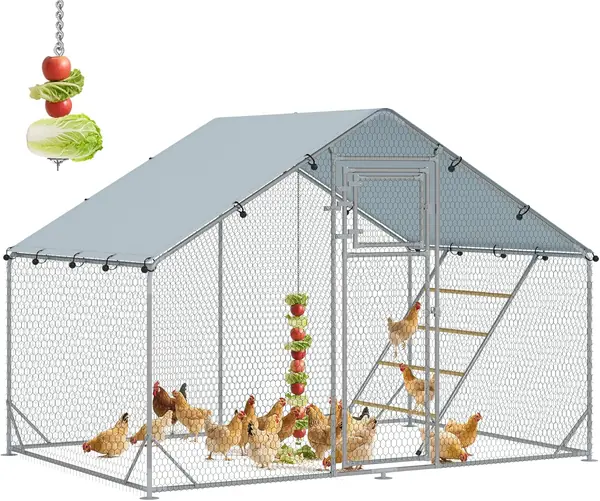 Hühnerstall 3x2x2 m Freilaufgehege Hühnergehege 6-8