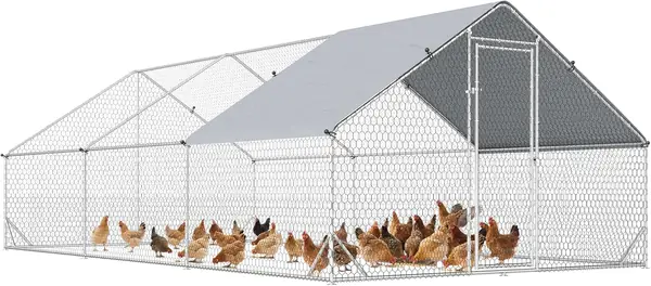 Hühnerstall 3x6x2 m Freilaufgehege mit Dach für 12-18